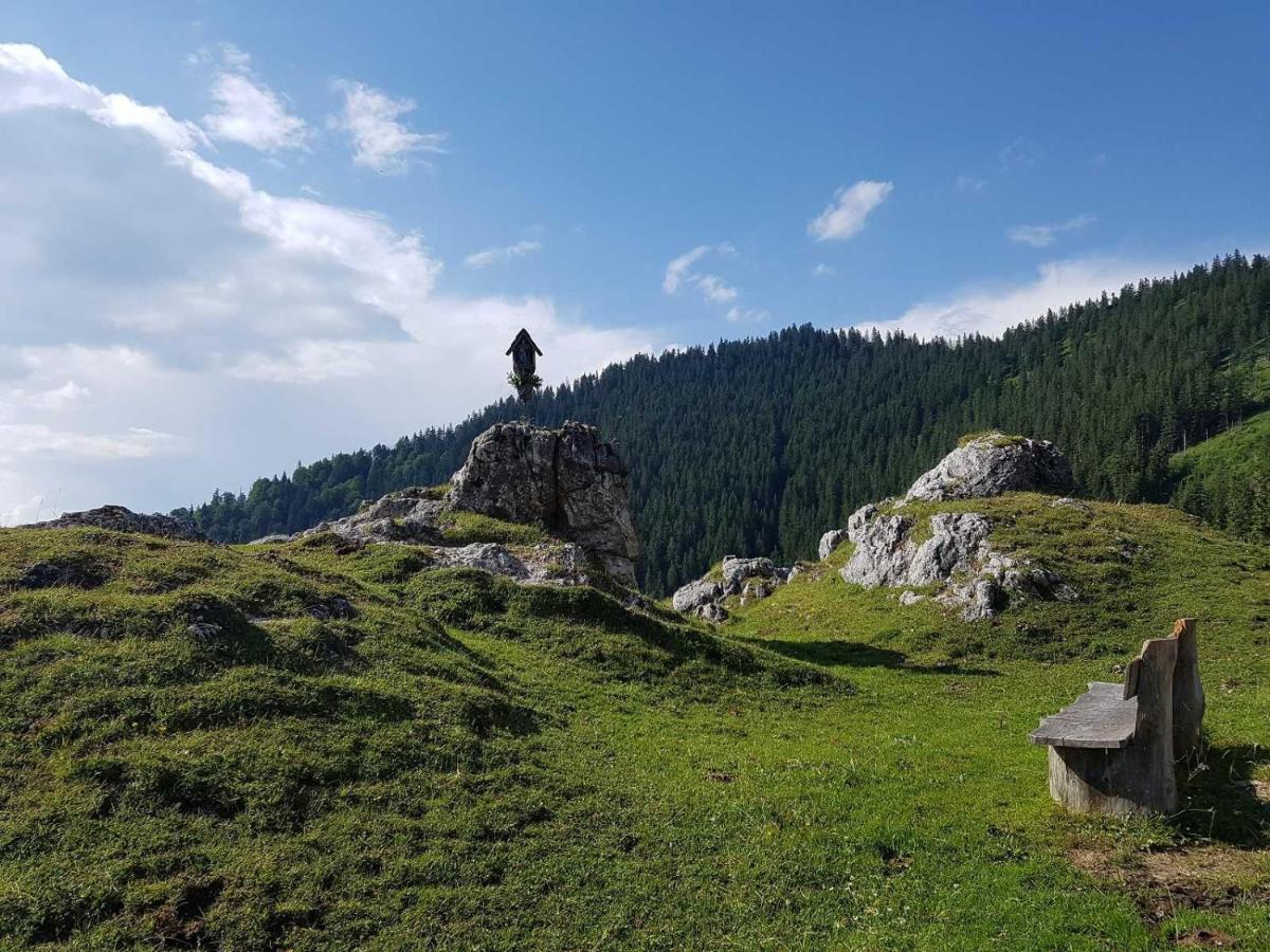 Haus Wiesenblick Oberwössen エクステリア 写真